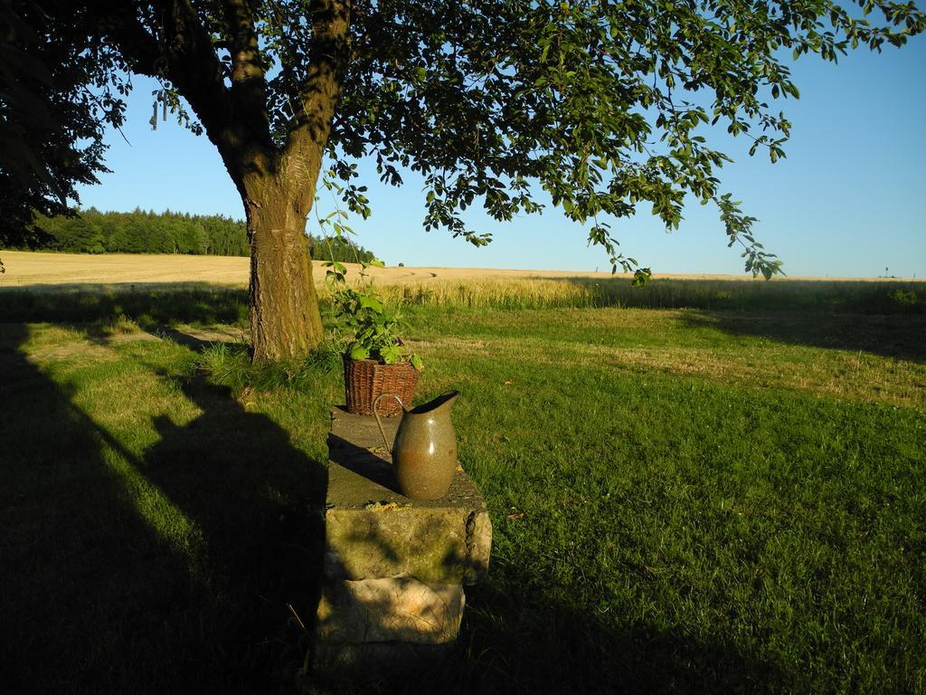 Alte Scheune Rietzschelhof Muglitztal Екстер'єр фото