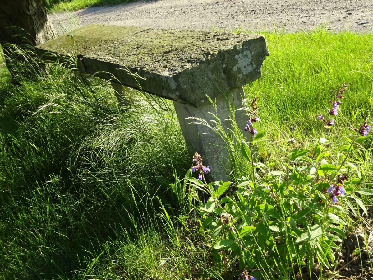 Alte Scheune Rietzschelhof Muglitztal Екстер'єр фото