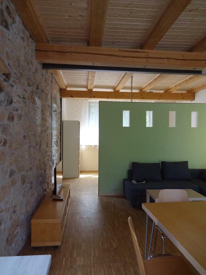 Alte Scheune Rietzschelhof Muglitztal Екстер'єр фото